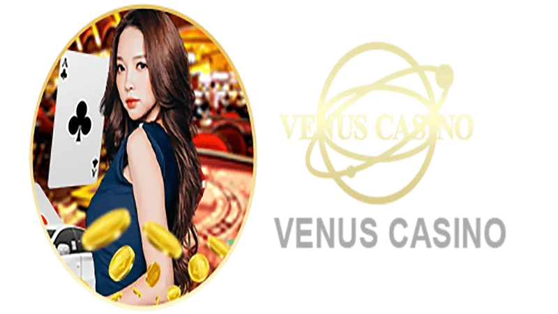3K BET Informações básicas sobre o saguão do cassino Venus